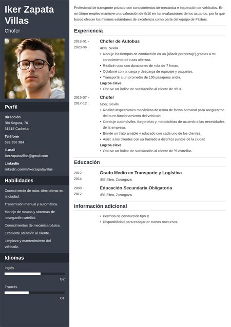 20 Plantillas De Curriculum Vitae Básico Y Profesional