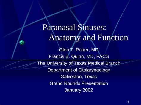 (PDF) Paranasal Sinuses: Anatomy and Function - DOKUMEN.TIPS