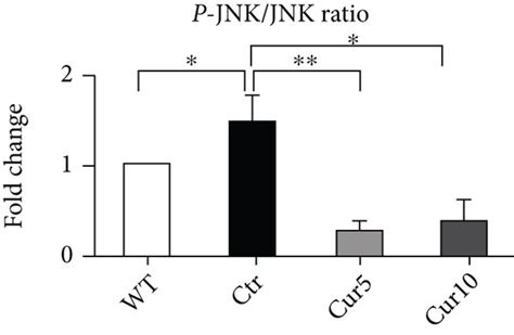 Effect Of Curcuma Extract On Mitogen Activated Protein Kinase Mapk