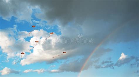 Flying kites in the sky stock photo. Image of clouds - 173757168