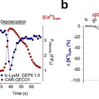 Schematic representation of the functional principle of genetically ...