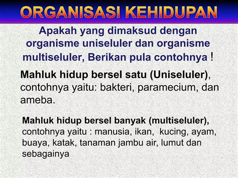 Organisasi Kehidupan PPT