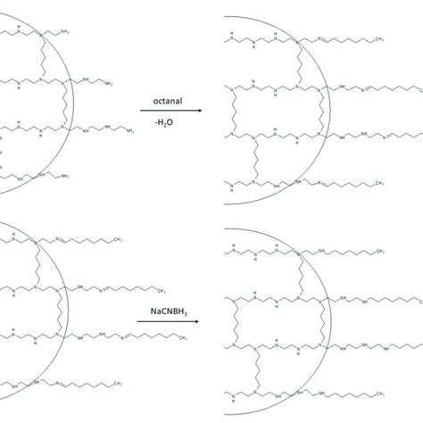 Formation Of Crosslinked Polyethylenimine Pei Nanoparticles Adapted