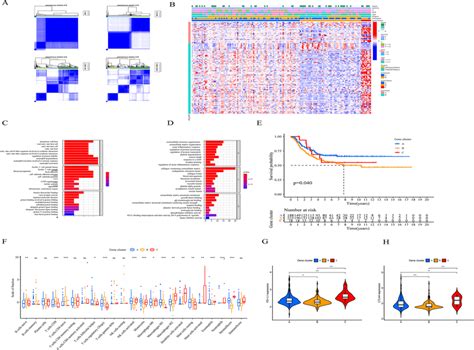 Distinguishing Immune Related Gene Subtypes A The Degs In Different Download Scientific