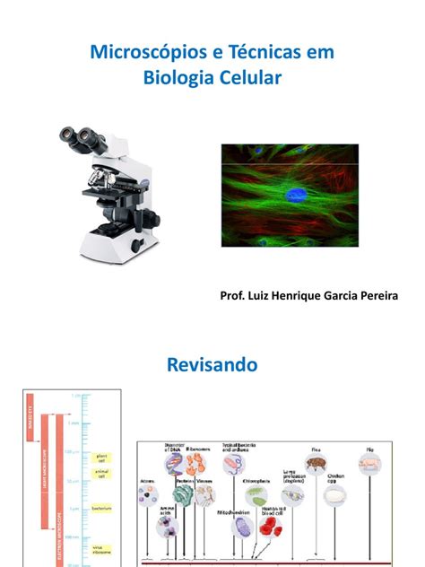 Pdf Aula 2 E 3 Microscópios E Técnicas Em Biologia Celular Dokumen Tips