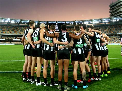 Collingwood Magpies Afl Team News Ladder Fixtures Results News