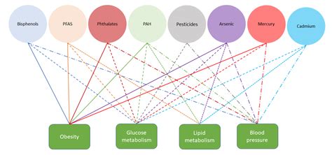 Ijerph Free Full Text Metabolic Syndrome And Endocrine Disrupting