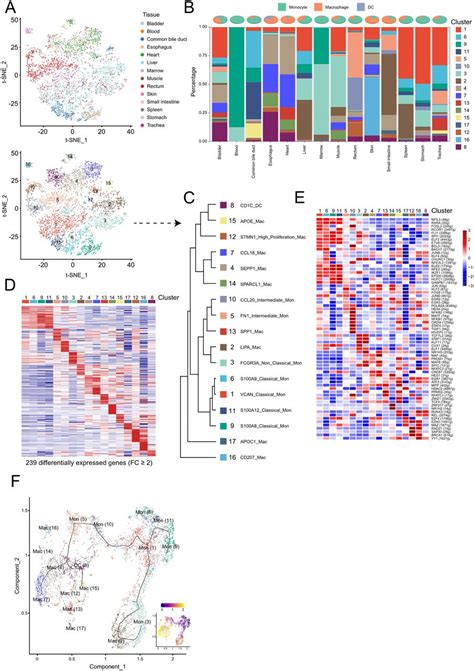 Single Cell Transcriptome Profiling An Adult Human Cell Atlas Of 15