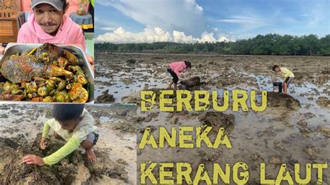 Berburu Beraneka Kerang Laut Langsung Kita Masak Youtube