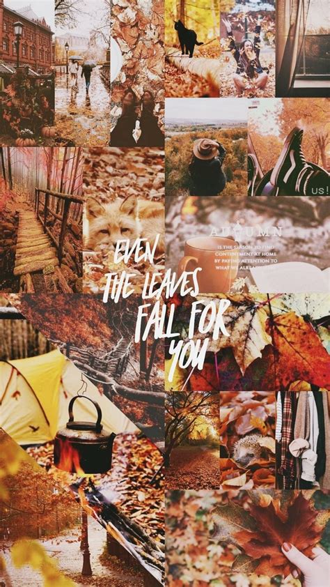 25 Autumn Collage Aesthetic Wallpapers Even The Leaves Fall For You I