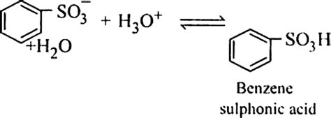 How Benzene Is Converted Into Benzene Sulphonic Acid Give Its