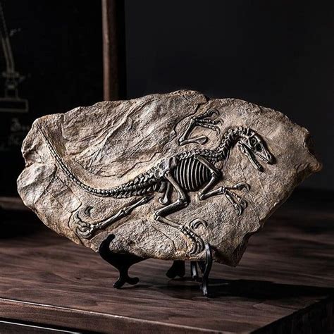 Dinosaur Fossil Specimen - A | Dinosaur fossils, Sculpture, Fossil