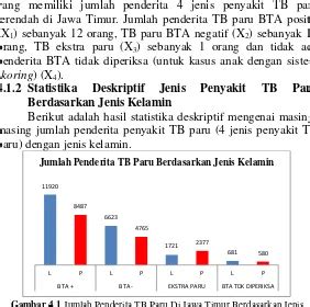 PENGELOMPOKKAN KABUPATENKOTA BERDASARKAN JENIS PENYAKIT TUBERKULOSIS