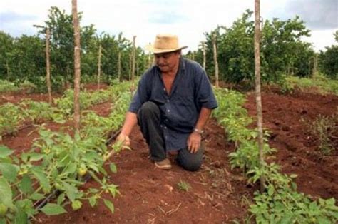 Conjuntan Acciones Agricultura Y CNA Para Incrementar Productividad Y