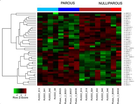 Heatmap Of Differentially Expressed Lncrnas In The Breast Tissue Of Download Scientific Diagram