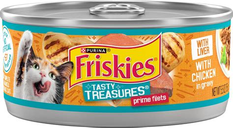 Amazon Friskies Filet Of Turkey Dinner In Gravy Cat Food Oz