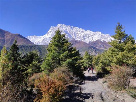 10 Reasons To Trek Annapurna Circuit Ace The Himalaya