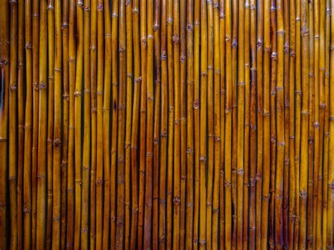 Premium Photo Brown Bamboo Background