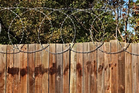 Should You Repair Or Replace Your Wooden Fence