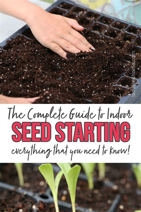 The Complete Guide To Indoor Seed Starting In Seed Starting