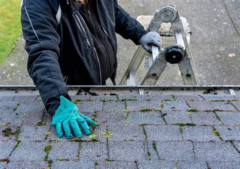 Soft Wash Roof Cleaning Services Near Me | Soft Washing in Portland