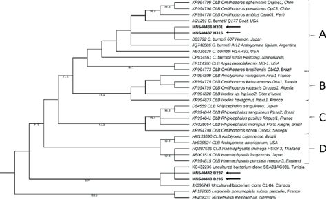 Phylogenetic Tree Constructed Using Maximum Likelihood Based On Partial