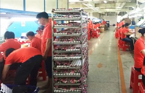 Company Overview - Guangzhou Hotmarzz Trading Co., Ltd.
