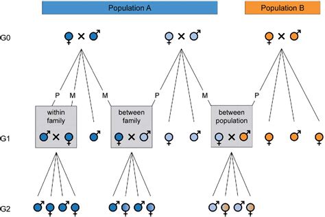 Figure From Inbreeding Depression In A Parasitoid Wasp With Single Locus Complementary Sex