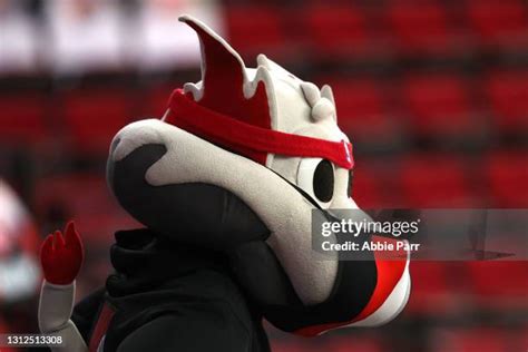 Portland Trail Blazers Mascot Photos And Premium High Res Pictures
