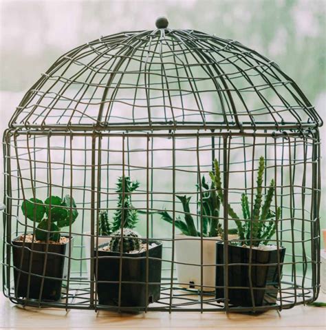 Bird Cage Planters Tutorial Plus Decorative Birdcage Planter Ideas