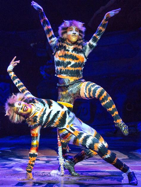 Cats The Musical Costumes Ebay – Idalias Salon