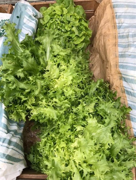 Contenu De Votre Panier De L Gumes Du Au Mars La Ferme De Chosal