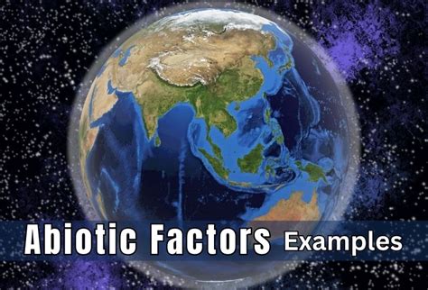 Abiotic Factors Definition Types Examples And Responses 42 OFF