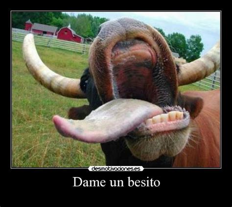 Dame Un Besito Desmotivaciones