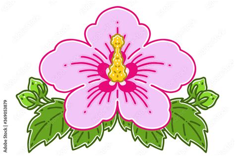 Mugunghwa Or Rose Of Sharon The National Flower Of South Korea