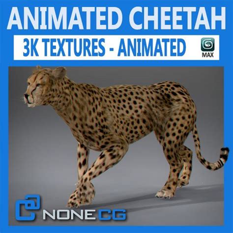 Animated Cheetah