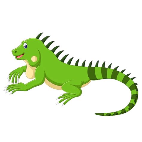 Dibujos Animados De Iguana Vector Premium