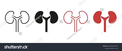 Human Kidney Line And Silhouette Color Icon Set Royalty Free Stock