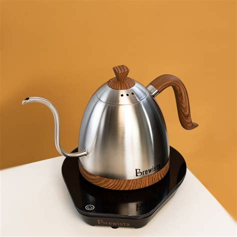 Jual Gooseneck Kettle Electric Brewista Ml Teko Leher Angsa Listrik