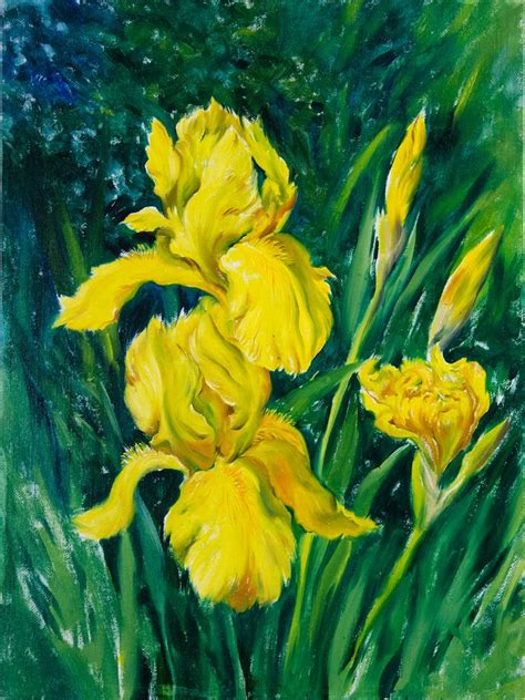 Yellow Irises Painting By Daria Galinski Saatchi Art