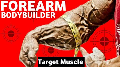 Effective Exercises To Get Big Forearms Forearm Kese Bade Kre How