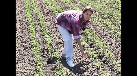 Angelina Stoli Porn Videos Porn Star Sex Scenes Xhamster