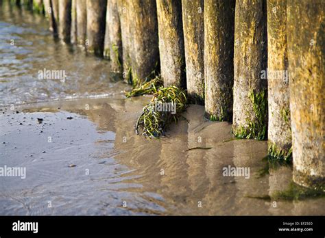 Baltic Shore Hi Res Stock Photography And Images Alamy