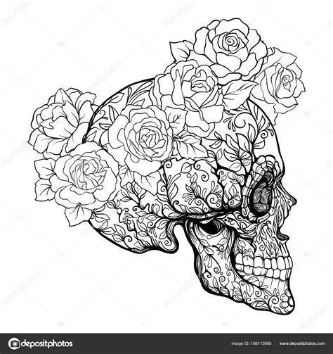 Sugar Skull Rose Drawing