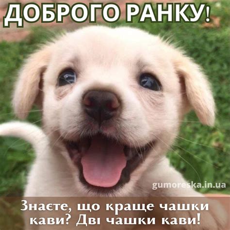 Прикольні картинки з добрим ранком і листівки (ТОП 20)