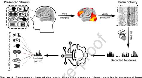 Figure 1 From Brain Decoding Of The Human Connectome Project Tasks In A