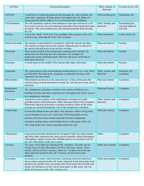 Organelle Chart Key