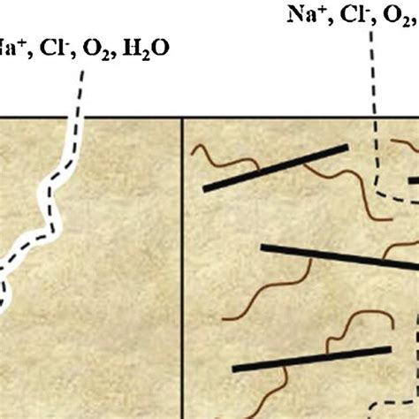 Salt Spray Test Results For The A1 A3 Blank Epoxy B1 B3 Graphene