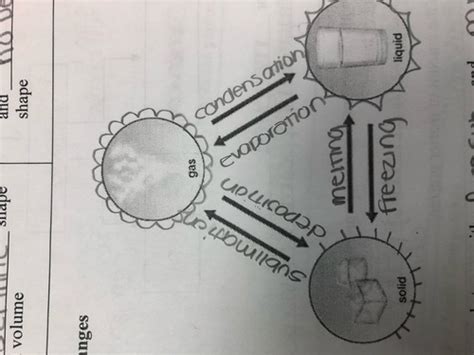 States Of Matter Phase Changes Flashcards Quizlet