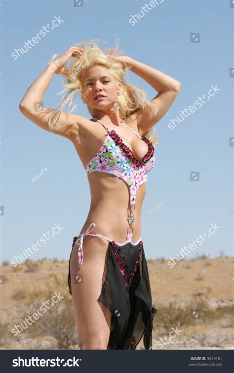 Sexy Blond Woman Bikini Stock Photo 3449161 Shutterstock